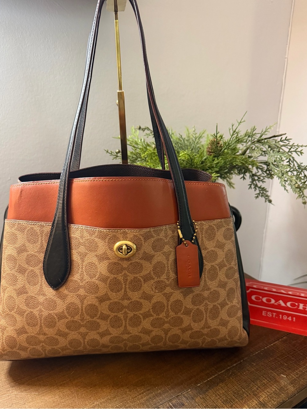 Coach Lora Carryall Tote